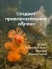 Бойлы пылящие Carptravel Mini Набор 8х10мм 35 г (5 классических вкусов + 5 флюоресцентных) 5-2